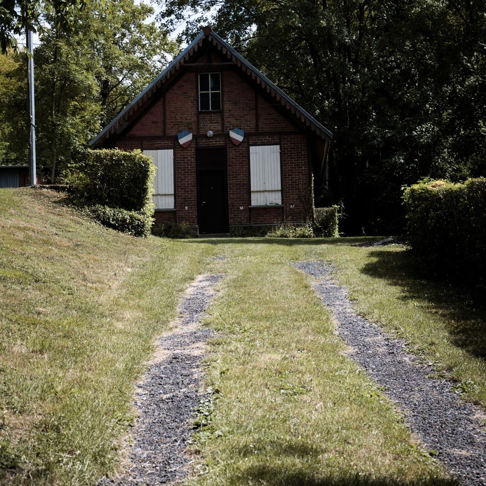 Cabin among trees with an unpaved driveway